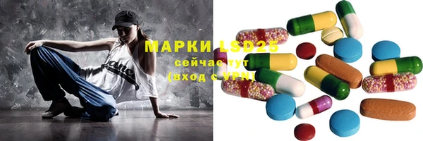 соль ск Сосновоборск