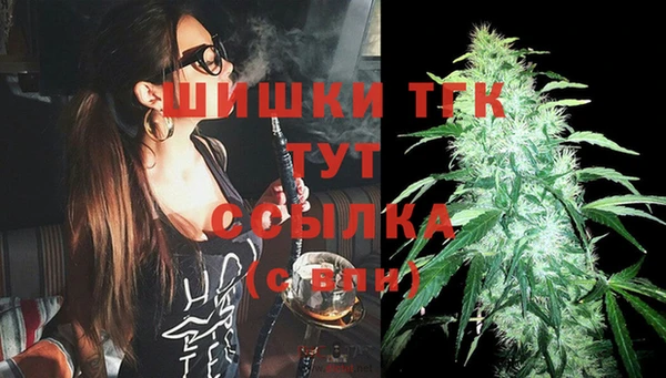 крисы Абаза