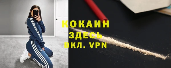 крисы Абаза
