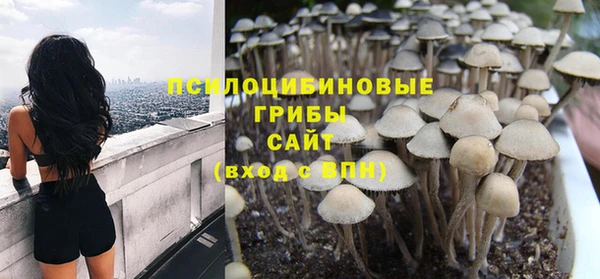 Альфа ПВП Алзамай