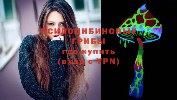 Альфа ПВП Алзамай