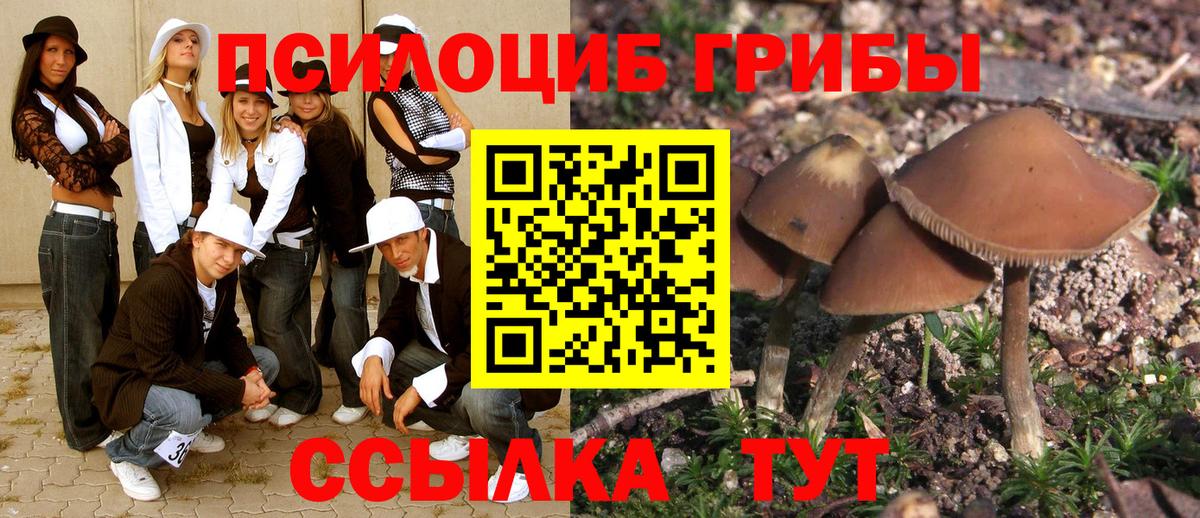 Галлюциногенные грибы Magic Shrooms Магнитогорск